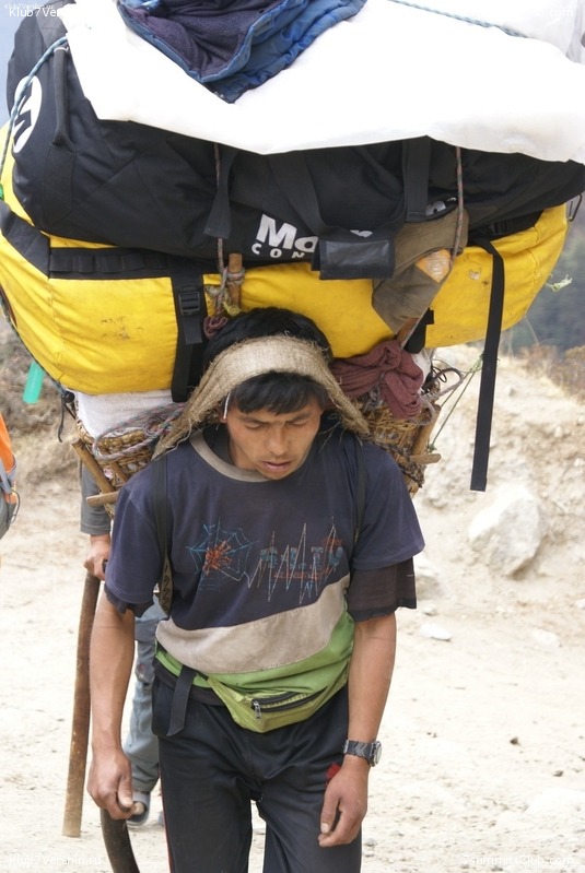 ������� 2009, ���� 479