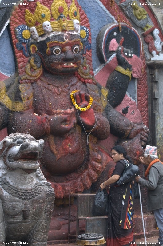 ������� 2009, ���� 495