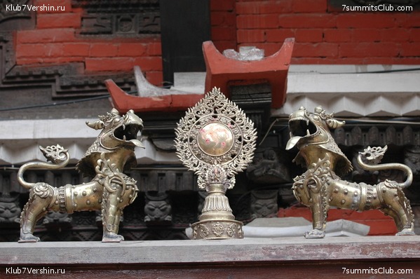 ������� 2009, ���� 24