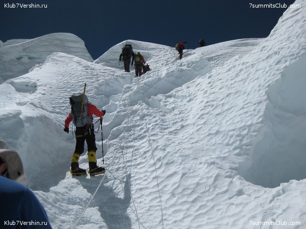 ������� 2009, ���� 201