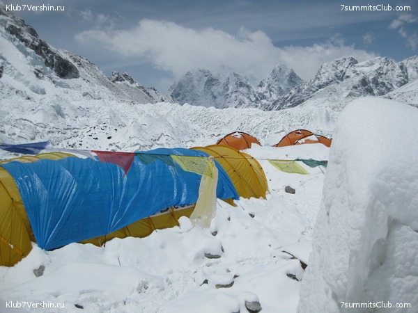 ������� 2009, ���� 206