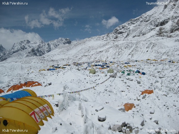 ������� 2009, ���� 213