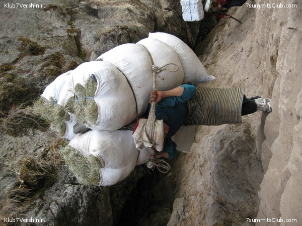 ������� 2009, ���� 232