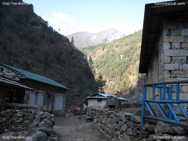 ������� 2009, ���� 233