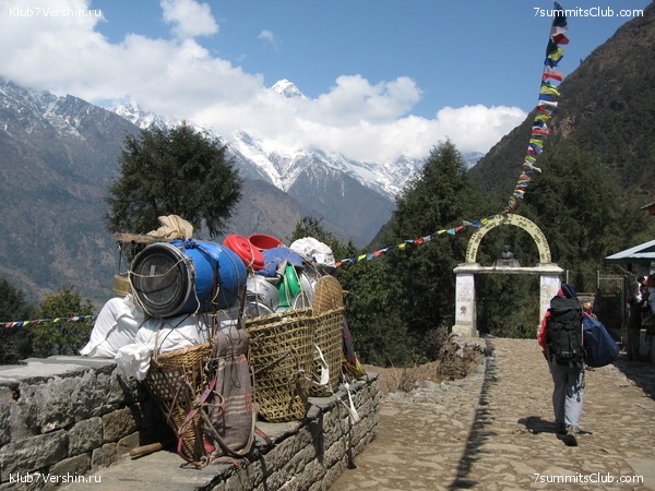 ������� 2009, ���� 238