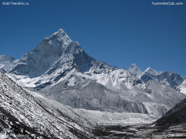 ������� 2009, ���� 260