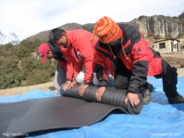 ������� 2009, ���� 263