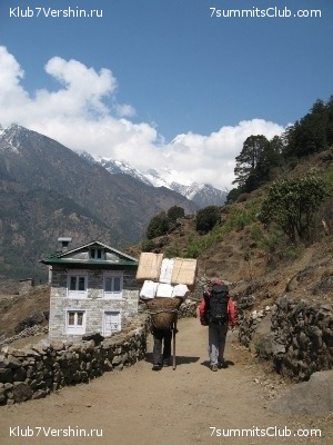 ������� 2009, ���� 458