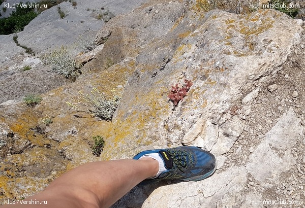 ���� 2020 ����� 1, ���� 29