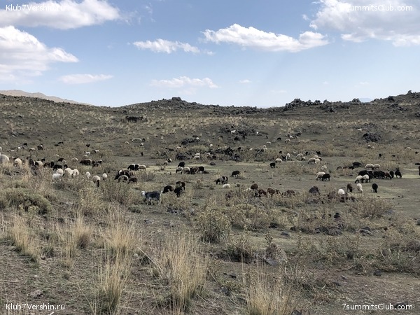 ������ 2019. �. � �. ��������, ���� 34