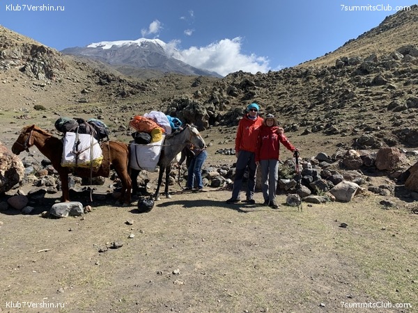 ������ 2019. �. � �. ��������, ���� 38