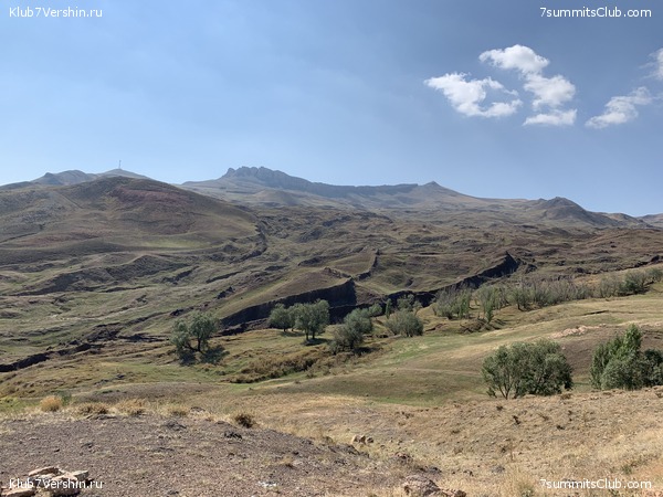 ������ 2019. �. � �. ��������, ���� 49