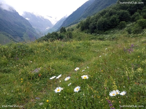 ������ � ������. ���� 2020, ���� 39