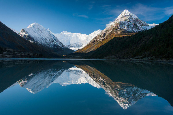 ��������, �������������� ��������, ���� 992