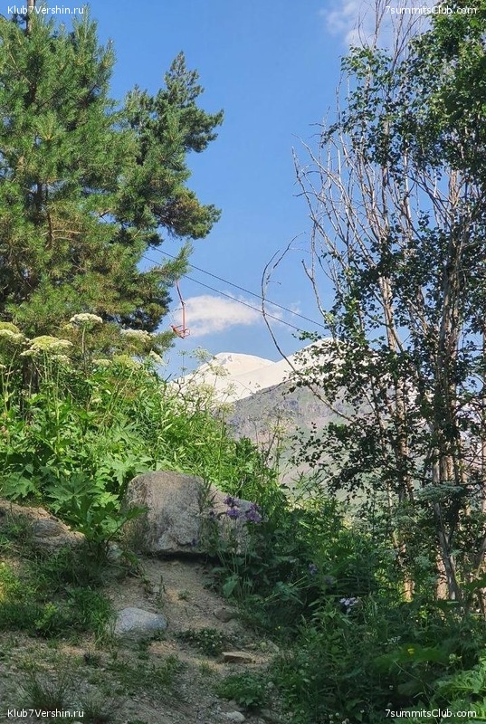 ������� 2020. ����, ���� 128