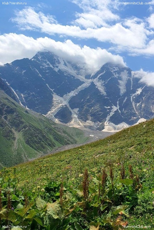 ������� 2020. ����, ���� 131