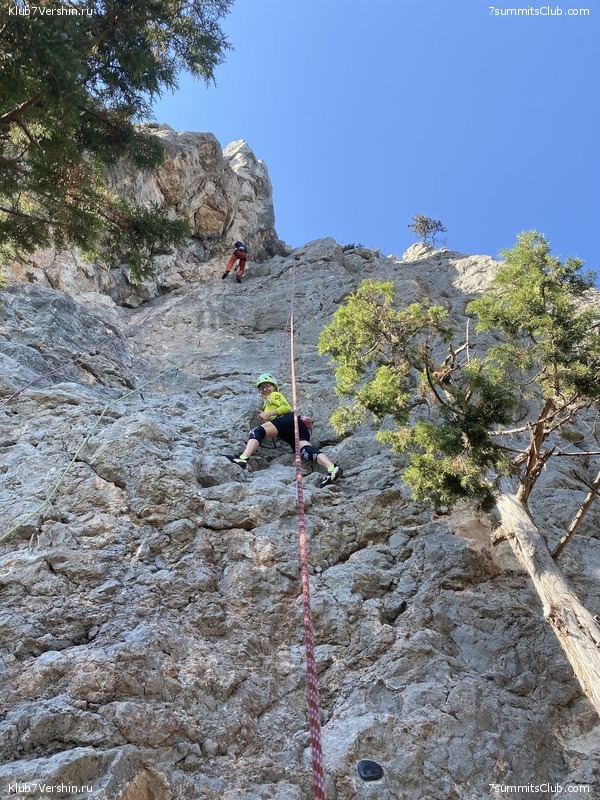 ���� 2020. ����� 2 ���� - ������, ���� 91