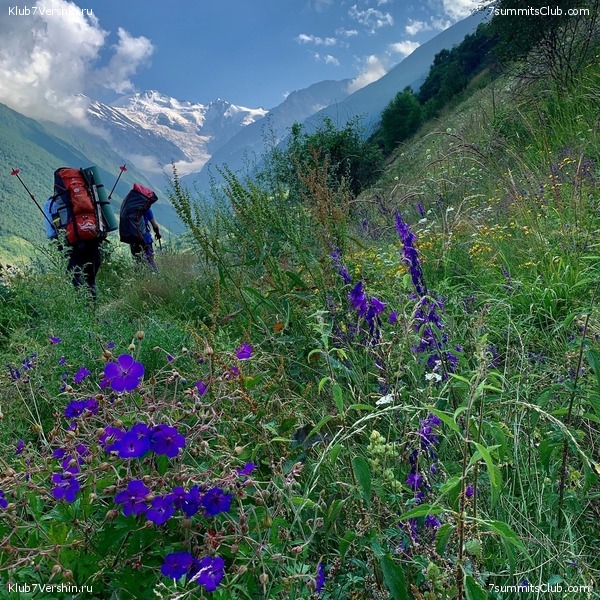 ������ � ������. ���� 2020, ���� 92