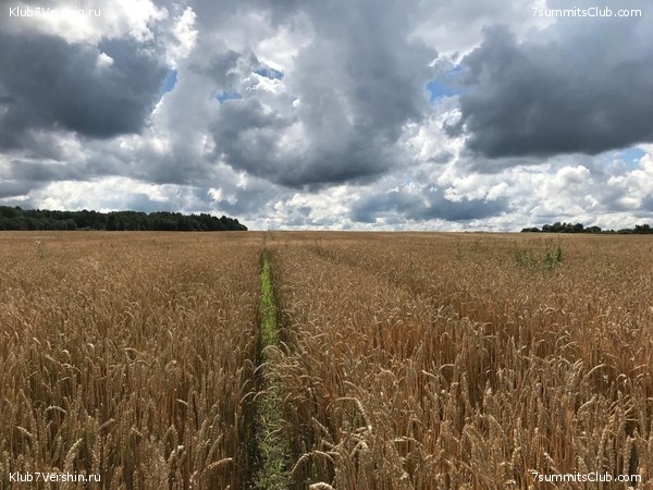 ����� ��������� ������� �����, ���� 114