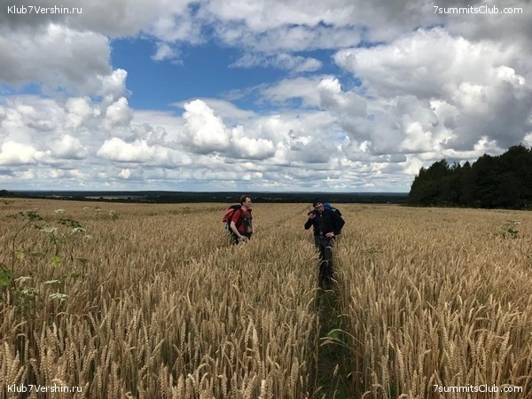 ����� ��������� ������� �����, ���� 115