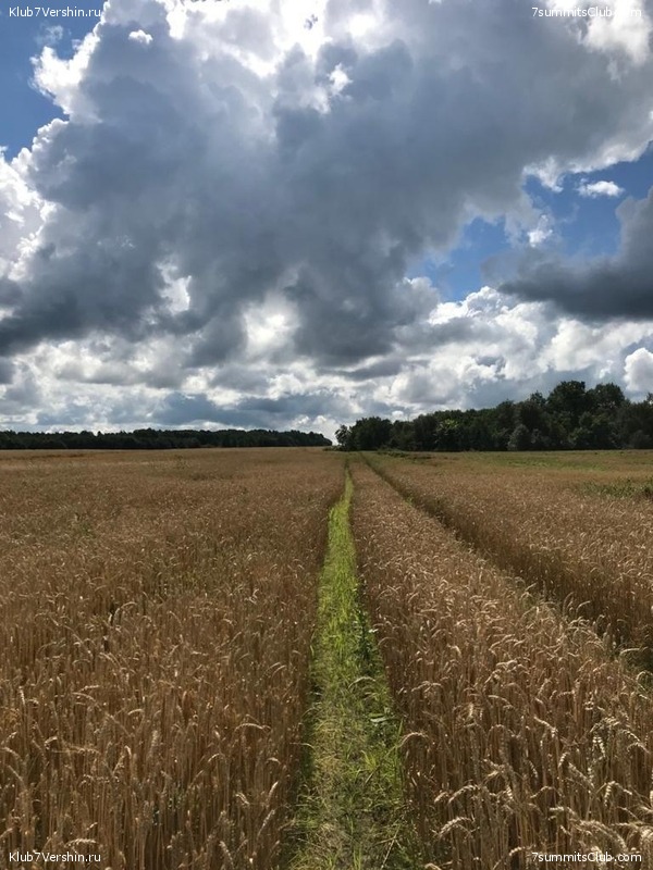 ����� ��������� ������� �����, ���� 119