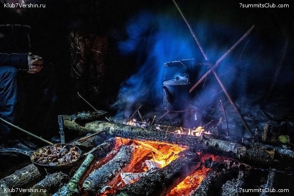 ����� ��������� ������� �����, ���� 113