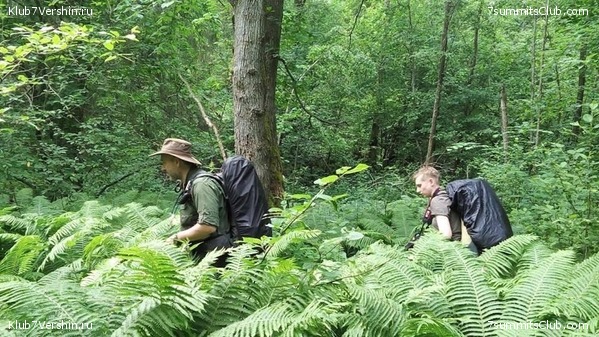 ����� ��������� ������� �����, ���� 2