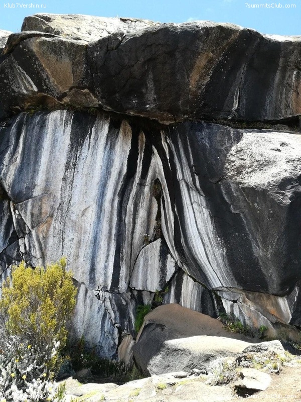 ������������ 2020. ������ - ������, ���� 71