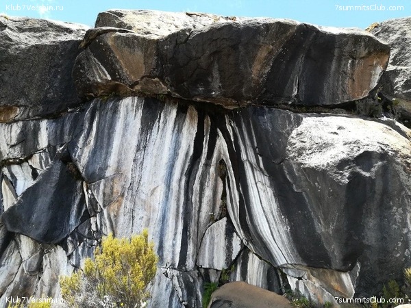 ������������ 2020. ������ - ������, ���� 36