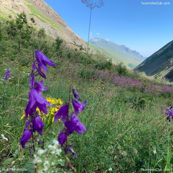 ������ � ������. ���� 2020, ���� 99