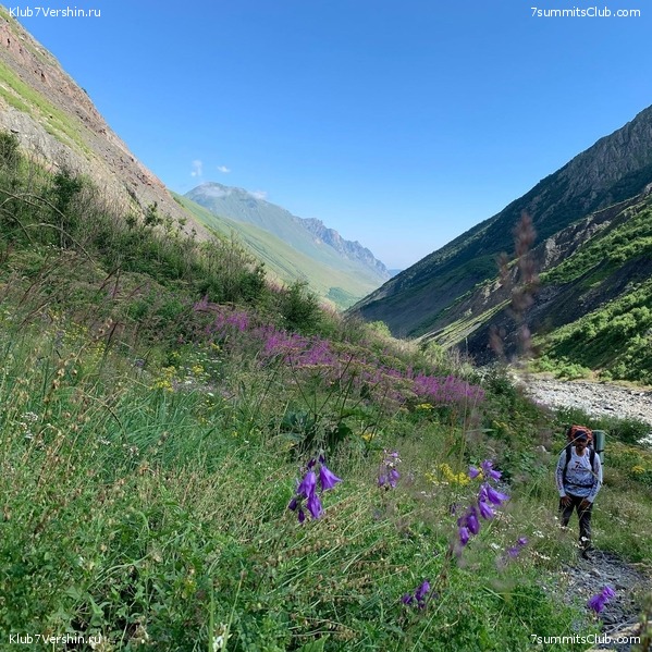 ������ � ������. ���� 2020, ���� 81