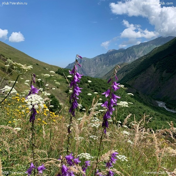 ������ � ������. ���� 2020, ���� 100