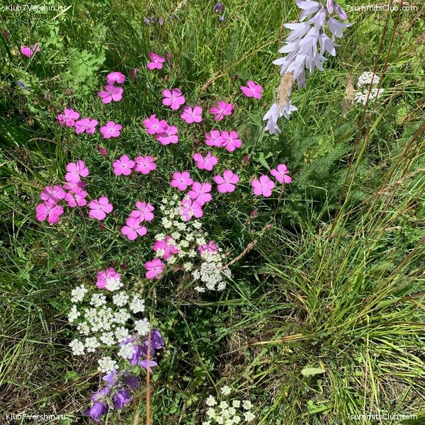 ������ � ������. ���� 2020, ���� 101