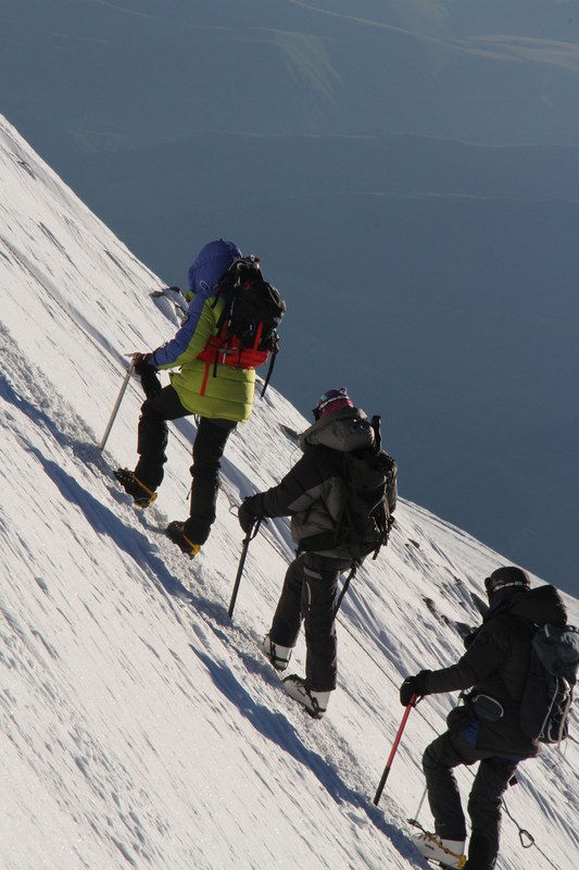 �������. ������ Ը���� ��������. ���������������� ������, ���� 146