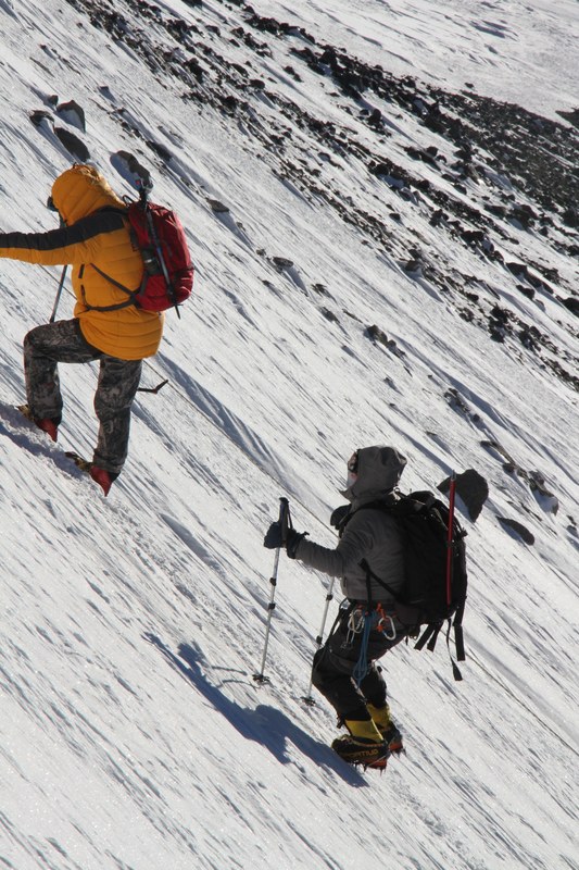 �������. ������ Ը���� ��������. ���������������� ������, ���� 147