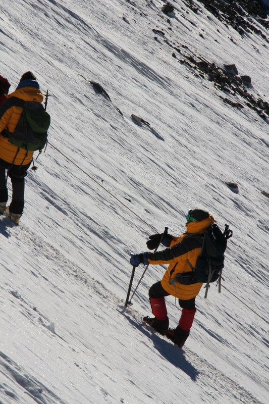 �������. ������ Ը���� ��������. ���������������� ������, ���� 151