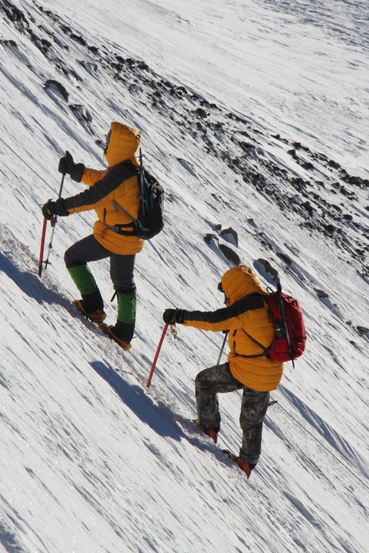 �������. ������ Ը���� ��������. ���������������� ������, ���� 155