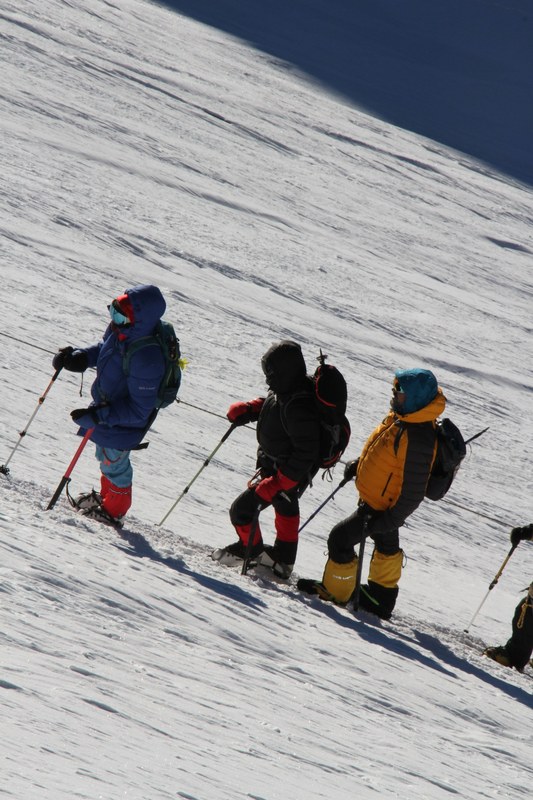 �������. ������ Ը���� ��������. ���������������� ������, ���� 161