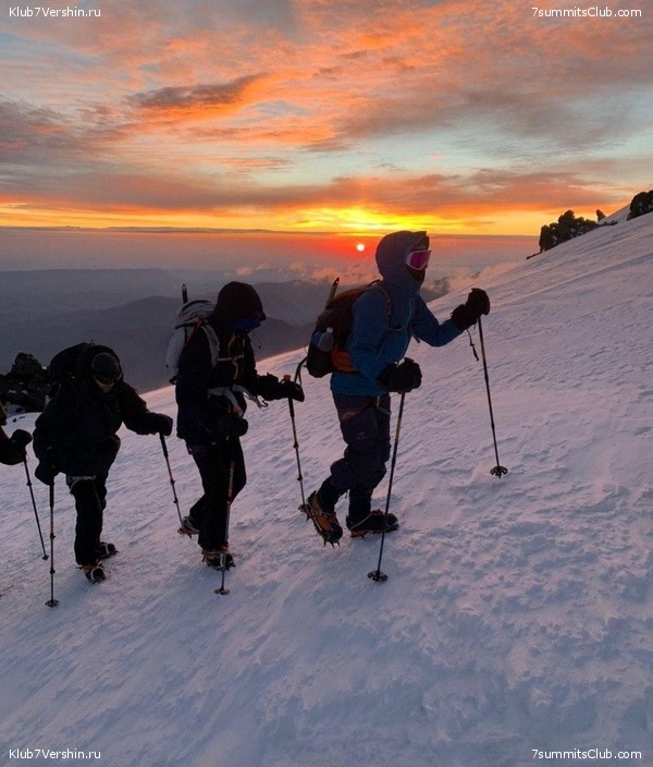 ������� � ������. 2020 ���, ���� 46