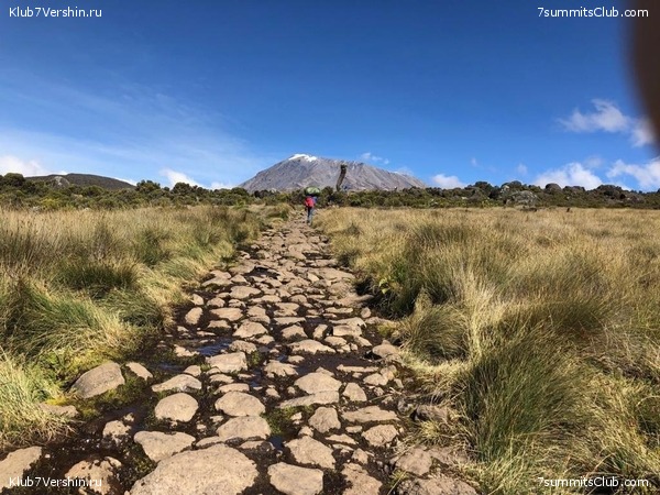 00-������������ �������, ���� 220