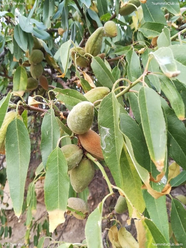 ������ 2020. ��������� �������. ������ ������, ���� 112