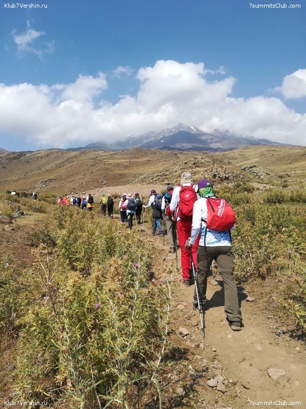 ������ 2020. ��������� �������. ������ ������, ���� 116