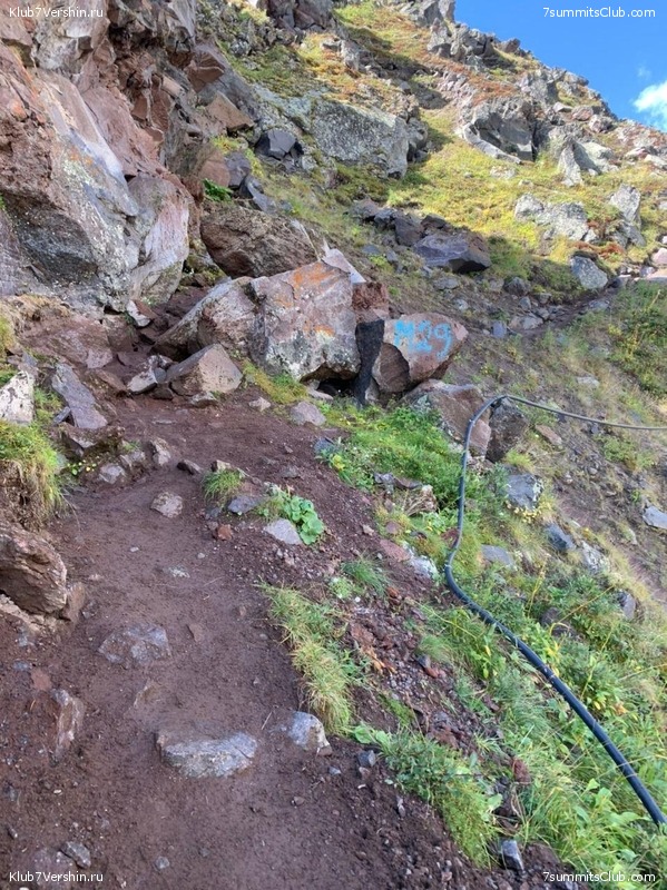 ������� � ������. 2020 ���, ���� 50