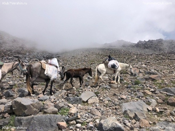 ������ 2020. ��������� �������. ������ ������, ���� 20