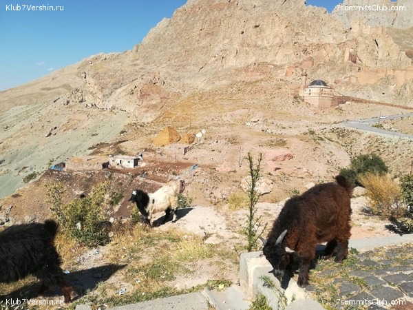 ������ 2020. ��������� �������. ������ ������, ���� 93