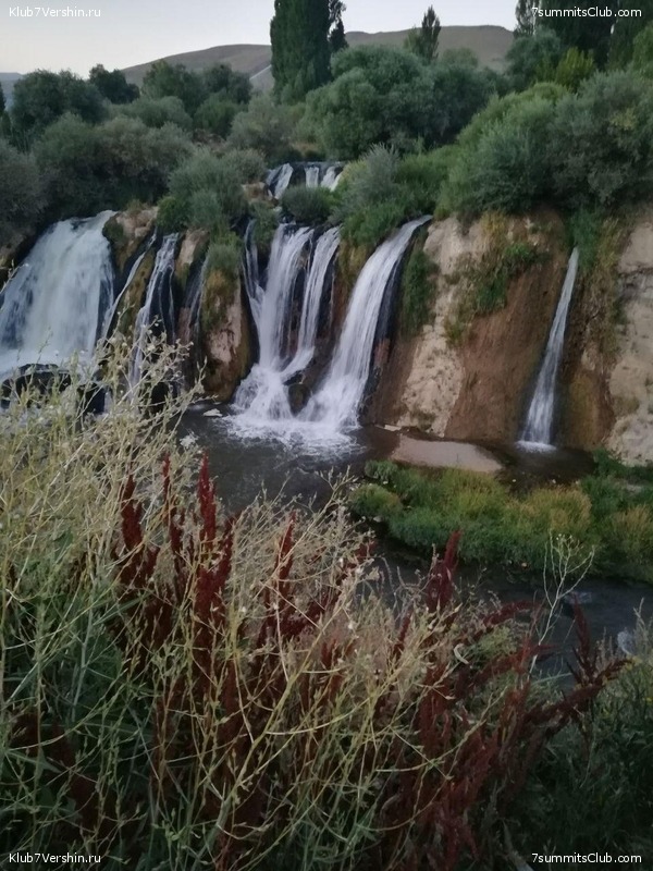 ������ 2020. ��������� �������. ������ ������, ���� 135