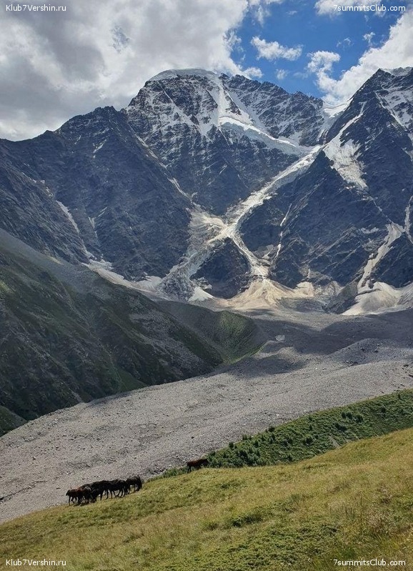 ������� 2020. ������, ���� 117