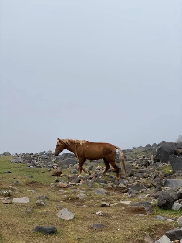 ������. ������ 2020 ����. �����: ��� ��������, ���� 29