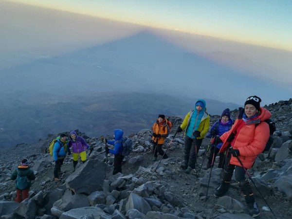 ������. ������ 2020 ����. �����: ��� ��������, ���� 11