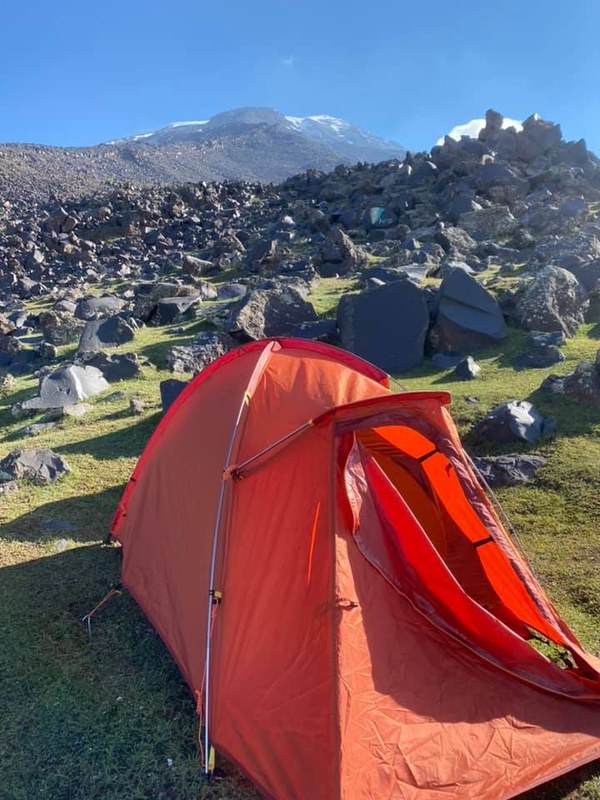 ������. ������ 2020 ����. �����: ��� ��������, ���� 31